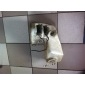 A2208690020 Бачок омывателя Mercedes S W220 2003 КОМПЛ,,A2108690921,A2108690821,A2205400045,A2208300061