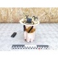 9680353680 Датчик уровня топлива Citroen C4 2011 ,9681286080,1525LA,702700070