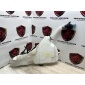 MK8317B613A Бачок омывателя Jaguar F-Pace X761 2021 MK8317B613-A, T4A152, T4A28921, LR093441