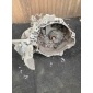 Opel astra г zafira а 2.2 бензин кпп 5495775