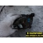 RF7J15010A Помпа водяная Mazda BONGO SK22L, SK22M, SK22T, SK22V, SK82L, SK82M, SK82T, SK82V, SKF2L, SKF2M, SKF2T, SKF2V