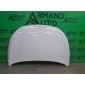 J608402010FLDY капот OMODA S5 M1D 2022-нв , 7
