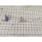 6Q0423155L насос гур volkswagen поло seat ibiza skoda fabia