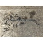 A2133260465 Стабилизатор Mercedes E W213 2020 , , A2133264500, A2133267400, A2133260165, 654.920