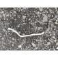 7l0819308a Патрубок автономного отопителя Porsche Cayenne 955 2005