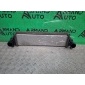 302000507AA интеркулер EXEED TXL M32T 2020-нв , 4