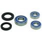 251810 all balls подшипники колёса задняя с uszczelniaczami bmw g310gs 18 - 19 , г 310r 18 - 19