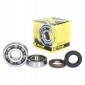 23.CBS22088 prox подшипники вала коленчатого с uszczelniaczami yamaha yfs200 88 - 04