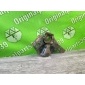 LC62344B0A Крепление рычага подвески Mazda MPV LW5W 2001 LC62-34-4B0A,