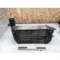 1307012080 Интеркулер Citroen Jumper 2002 ,0384E4,0384G8,E256097,1340934080,LRIC1650,3840000,8ML376727571,KIZ1084EB,KIZ1084FR,KIZ1084RR,CI129000S,96889,30066A,817632