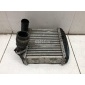 0003007V005000000 Интеркулер Smart Fortwo/City (W450) (1998 - 2006)