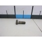 4817005002 Болт Ssang Yong Actyon New/Korando C 2010