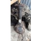 2323258OAAX Ssangyong rexton i ii 2.3 b мост передняя 4.55