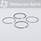 8976034231 Кольца поршневые ISUZU ELF, FORWARD 4HK1, 6HK1 ISUZU ELF, FORWARD 8-97603-423-1/8-98040-125-0/8-97105-867-0/8-97105-867-1/8-97219-054-0/8-97232-337-0/8-97368-823-0/8-97603-533-1/8-98054-495-0/8-9805