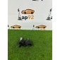 5N0951223A Звуковой сигнал Volkswagen Tiguan 5N1 2009 , 5N0951221B, 5N0951182, 5N0951182B