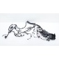 4011310XKJ22A Проводка подкапотная Haval H3 1 2024 , 3722100XST01A, 3722100XKJ20A