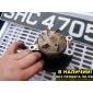 1740085830 Помпа водяная Suzuki ESCUDO TA02W, TA11W, TA31W, TA51W, TA52W, TD02W, TD11W, TD31W, TD32W, TD51W, TD52W, TD61W, TD62W, TL52W, TX92W 17400-85830