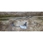 31280762 volvo c30 1 , 6 b ссылки переключатель
