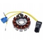 WZMOTO.PL MSCT.13.04.06.2023.4340 статор магнето 12 катушек для piaggio 125 / 250