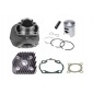 4246/WGMOTORS цилиндр головка блока цилиндров kymco ac 50 2t 70 kymco agility kymco cobra kymco отличный 8