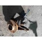 Ступица передняя левая Peugeot 206 2006