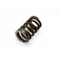 SZGSRENO250226E Пружина головки 1.2 8v twingo 1 2 clio 2 3 kangoo