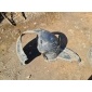 3AA805977 Защита арок передняя левая (подкрылок) Volkswagen Passat 2009