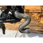 8D0145828C Патрубок интеркулера Audi A4 B5 1999