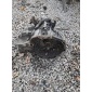 F23 Кпп opel zafira а astra г 2.0dti
