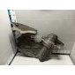 1696103608 Пыльник (кузов наружные) Mercedes Benz A-Class W169 (2004 - 2012)