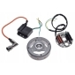MSRCR9416.132136 статор с колесом magnesowym i cewką для пух макси