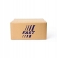 FT21508 SZPILKA KOLA FORD M12X1 , 5 46MM