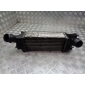 874823NJ INTERCOOLER PEUGEOT 407 SW