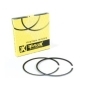 02.2281.100 Prox кольца поршневые yamaha yfs 200 blaster 88 - 06 , dt 200r 67.00mm
