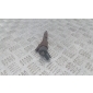 8200100272 форсунка топливная Renault Scenic 2 поколение 2005