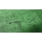 4E0823531A трос открывания капота Audi A8 [D3 4E] 2004-2010 2006