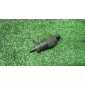 3D0955681 насос омывателя фар Audi A8 [D3 4E] 2004-2010 2006