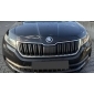 Skoda kodiaq в сборе передняя full светодиодный lf9r