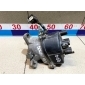 30100P2EA12 Распределитель зажигания Honda Domani MB (1997—2000) 1998