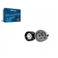 DAYAPV1048 dayco натяжитель ремня зубча iveco eurostar