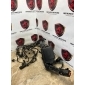 m8a214a076cb Блок предохранителей под капот Jaguar F-Pace X761 2024 , LR165244, , T2H56101, LR165245, M8A214N073CA, T2H56102, LR165243, M8A214A067DA, T2H56100
