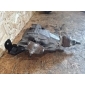 VAV6204 Мост задняя для suzuki свифт mk6 04 - 10 1.3 4x4