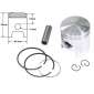 WZMOTO.PLRGM.11717 поршень piaggio typhoon air cool 80cc 48mm pin12 std typhoon