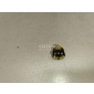 4F0837171 Зажим VAG A4 [B7] (2005 - 2007)