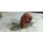 7L0253144D Кронштейн глушителя Audi Q7 4L 2006