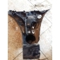 51127060796 Направляющая заднего бампера правая BMW 5-серия E60/E61 2003-2009