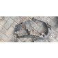 A4546201001 Крепление фары правой Smart Forfour 1 2005 ,MN900216