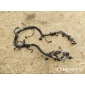 9664716180 Проводка двигателя Citroen Berlingo M59 рест. 2005 ,9654560380,9658277780