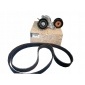 117200334R комплект ремня r master 2.3 dci
