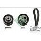 530005510 полный двигатель ina peugeot 106 ii 1.6 s16